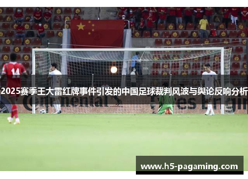2025赛季王大雷红牌事件引发的中国足球裁判风波与舆论反响分析