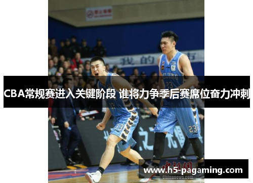 CBA常规赛进入关键阶段 谁将力争季后赛席位奋力冲刺