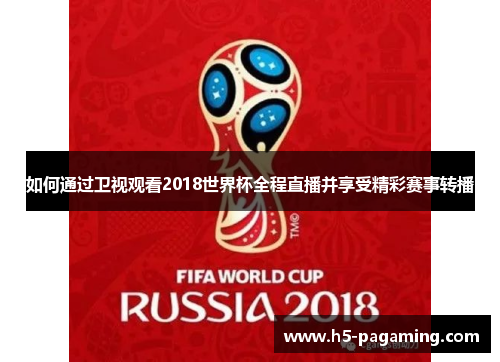 如何通过卫视观看2018世界杯全程直播并享受精彩赛事转播