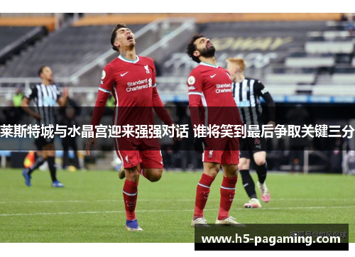 莱斯特城与水晶宫迎来强强对话 谁将笑到最后争取关键三分