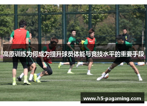 高原训练为何成为提升球员体能与竞技水平的重要手段 高原训练为何成为提升球员体能与竞技水平的重要手段
