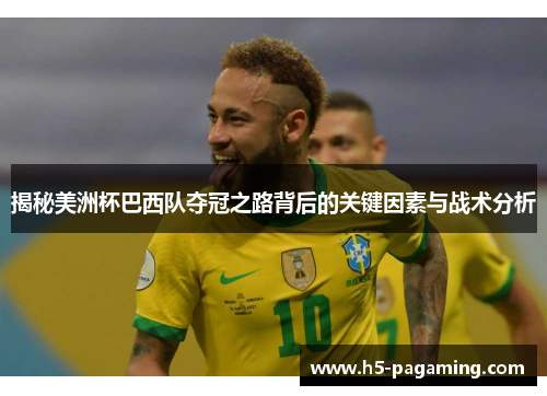 揭秘美洲杯巴西队夺冠之路背后的关键因素与战术分析