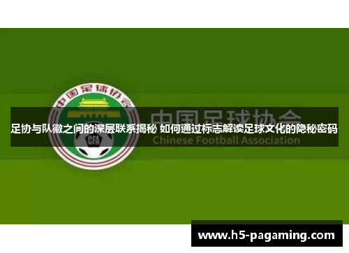 足协与队徽之间的深层联系揭秘 如何通过标志解读足球文化的隐秘密码 足协与队徽之间的深层联系揭秘 如何通过标志解读足球文化的隐秘密码