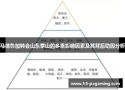 马德鲁加转会山东泰山的多重影响因素及其背后动因分析 马德鲁加转会山东泰山的多重影响因素及其背后动因分析