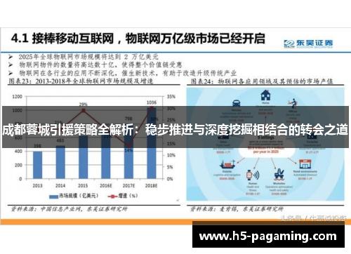 成都蓉城引援策略全解析：稳步推进与深度挖掘相结合的转会之道
