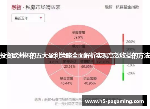投资欧洲杯的五大盈利策略全面解析实现高效收益的方法 投资欧洲杯的五大盈利策略全面解析实现高效收益的方法