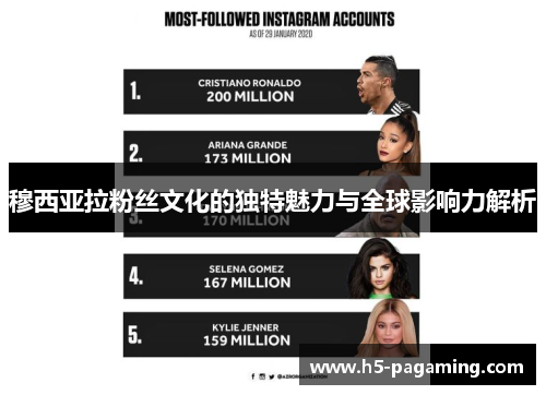 穆西亚拉粉丝文化的独特魅力与全球影响力解析