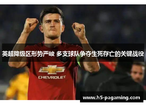 英超降级区形势严峻 多支球队争夺生死存亡的关键战役 英超降级区形势严峻 多支球队争夺生死存亡的关键战役