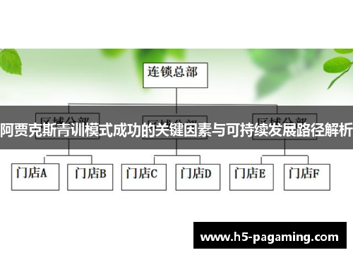 阿贾克斯青训模式成功的关键因素与可持续发展路径解析